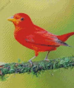 Scarlet Tanager Bird Diamond Painting