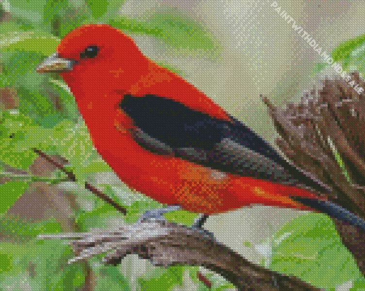 Scarlet Tanager bird on a tree Diamond Dotz Scarlet Tanager Bird On A Tree Diamond Painting