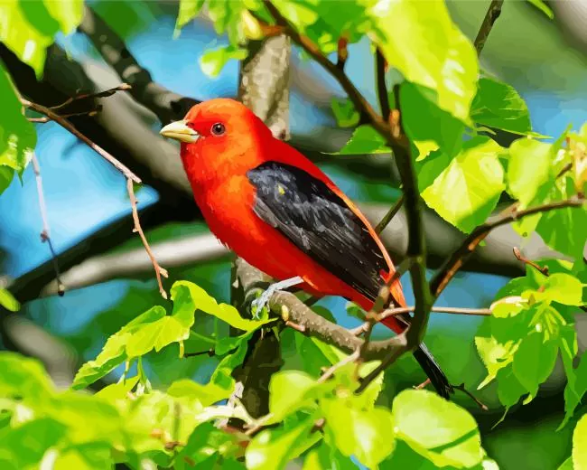 Scarlet Tanager on a tree Diamond By Numbers Scarlet Tanager On A Tree Diamond Painting