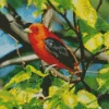 Scarlet Tanager On A Tree Diamond Painting