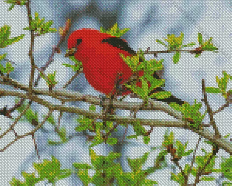 Scarlet Tanager on branches Diamond Dotz Scarlet Tanager On Branches Diamond Painting