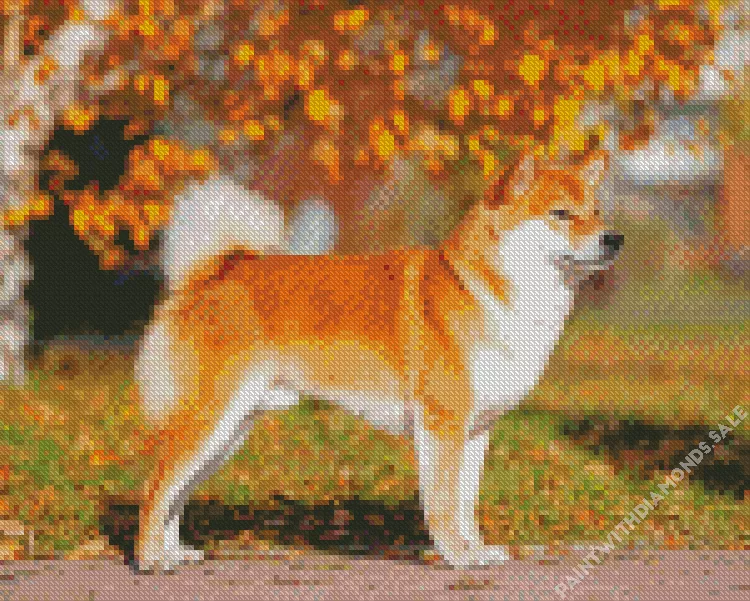 Shiba Inu and autumn leaves Diamond By Numbers Shiba Inu And Autumn Leaves Diamond Painting
