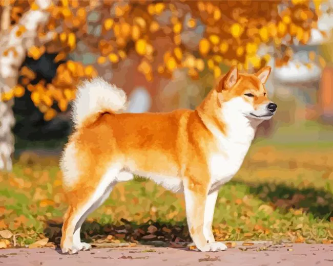 Shiba Inu and autumn leaves Diamond Paintings Shiba Inu And Autumn Leaves Diamond Painting