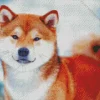 Shiba Inu In Snow Diamond Painting