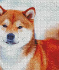 Shiba Inu In Snow Diamond Painting
