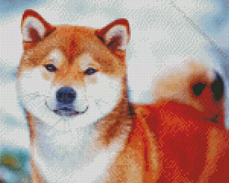 Shiba Inu in snow Diamond By Numbers Shiba Inu In Snow Diamond Painting
