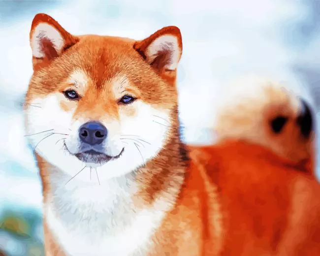 Shiba Inu in snow Diamond Paintings Shiba Inu In Snow Diamond Painting