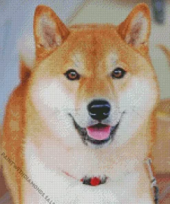 Cute Shiba Inu Diamond Painting