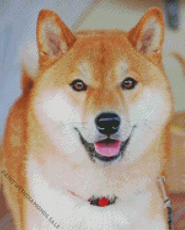 Shiba_inu_ Diamond By Numbers Cute Shiba Inu Diamond Painting