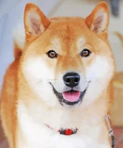 Cute Shiba Inu Diamond Painting