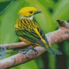 Silver Throated Tanager Bird On A Branch Diamond Painting