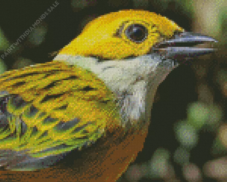Silver Throated Tanager head Diamond Dotz Silver Throated Tanager Head Diamond Painting