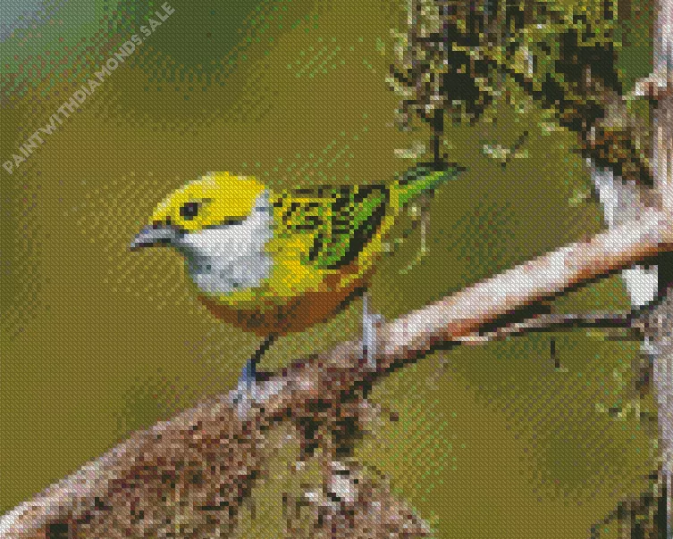 Silver Throated Tanager on a branch Diamond Dotz Silver Throated Tanager On A Branch Diamond Painting