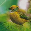 Silver Throated Tanagers Diamond Painting