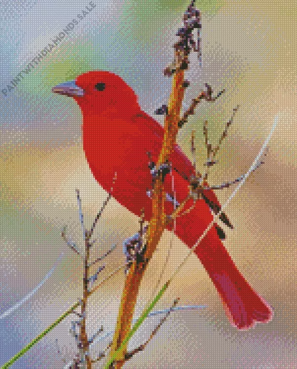 Summer Tanager Bird Diamond Dotz Summer Tanager Bird Diamond Painting