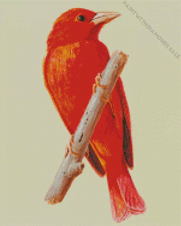 Summer Tanager Bird art Diamond Dotz Summer Tanager Bird Art Diamond Painting