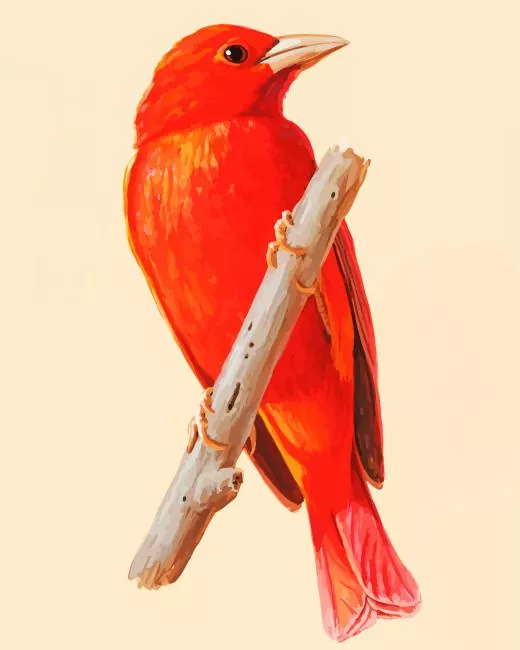 Summer Tanager Bird art Diamond Paintings Summer Tanager Bird Art Diamond Painting