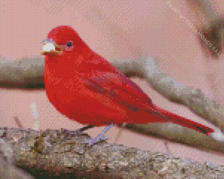 Summer Tanager Bird eating Diamond Dotz Summer Tanager Bird Eating Diamond Painting