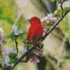Summer Tanager Bird On A Floral Branch Diamond Painting