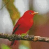 Summer Tanager Bird On A Stick Diamond Painting
