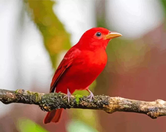 Summer Tanager Bird on a stick Diamond Paintings Summer Tanager Bird On A Stick Diamond Painting