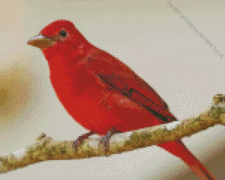 Summer Tanager Diamond Dotz Summer Tanager Diamond Painting