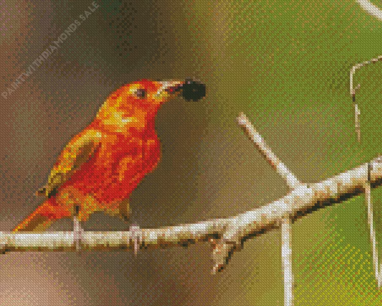 Summer Tanager in sunlight Diamond Dotz Summer Tanager In Sunlight Diamond Painting