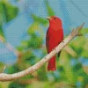 Summer Tanager Art Diamond Painting