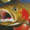 Trout Close Up Diamond Painting