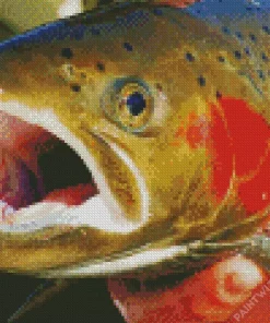 Trout Close Up Diamond Painting