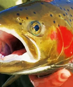 Trout Close Up Diamond Painting