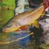 Trout Fish Diamond Painting