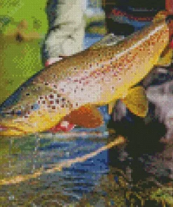 Trout Fish Diamond Painting