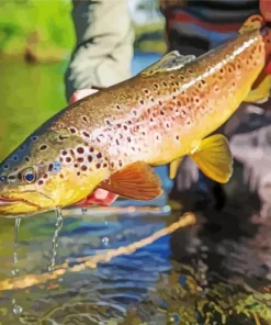 Trout Fish Diamond Painting