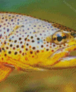 Trout Fish Close Up Diamond Painting