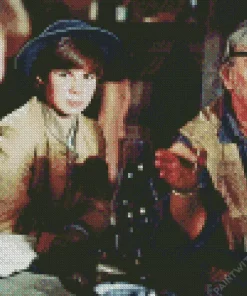 True Grit 1969 Characters Diamond Painting