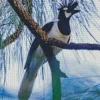 Tufted Jay Bird Art Diamond Painting