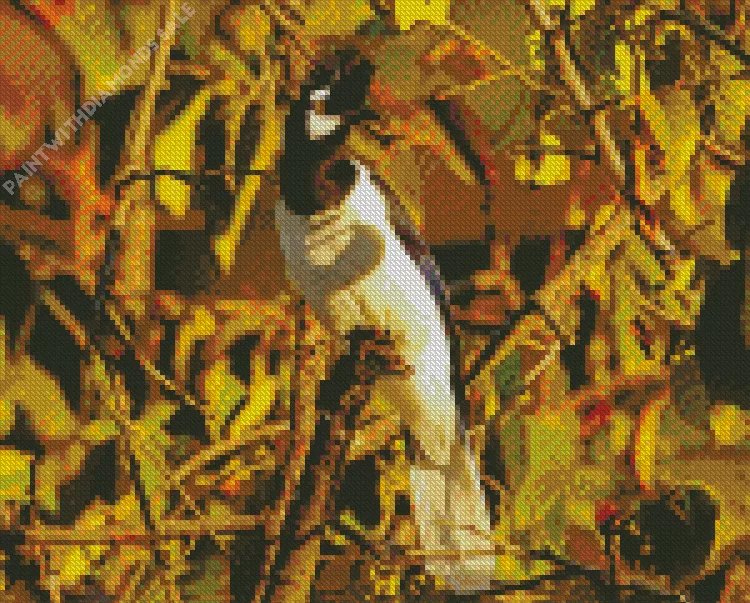 Tufted Jay bird in sunlight Diamond By Numbers Tufted Jay bird In Sunlight Diamond Painting