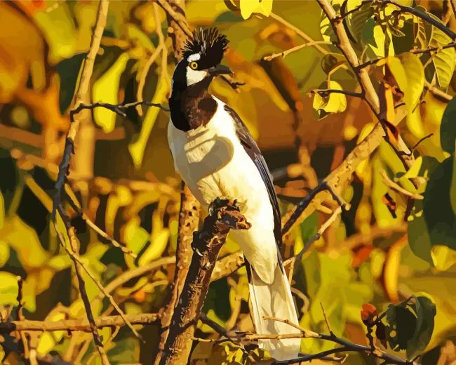 Tufted Jay bird in sunlight Diamond Paints Tufted Jay bird In Sunlight Diamond Painting