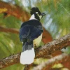 Tufted Jay On A Branch Diamond Painting