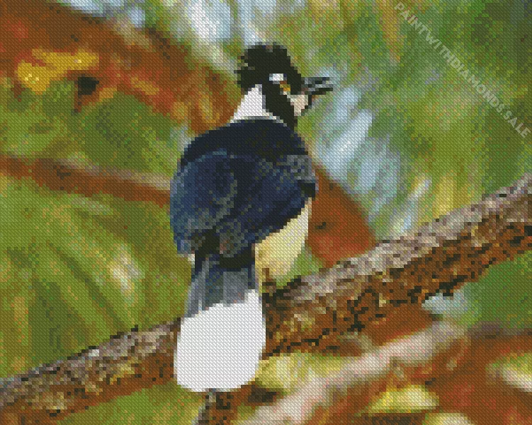 Tufted Jay on a branch Diamond By Numbers Tufted Jay On A Branch Diamond Painting