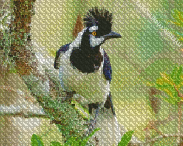Tufted Jay on a tree Diamond By Numbers Tufted Jay On A Tree Diamond Painting