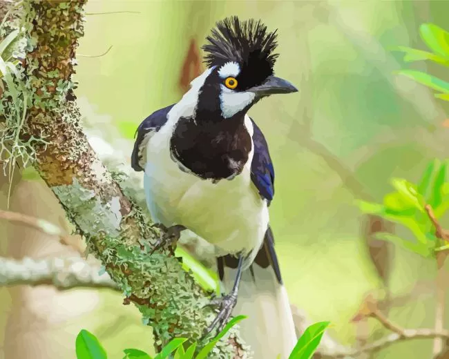 Tufted Jay on a tree Diamond Paints Tufted Jay On A Tree Diamond Painting