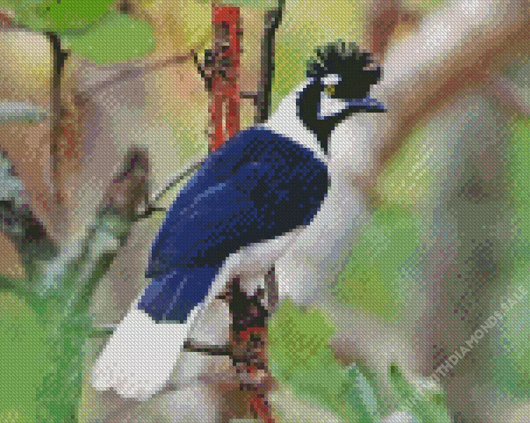 Tufted Jay side profile Diamond By Numbers Tufted Jay Side Profile Diamond Painting