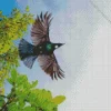 Tui Bird Flying Diamond Painting