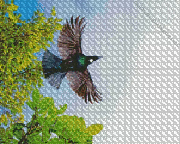 Tui bird flying Diamond By Numbers Tui Bird Flying Diamond Painting