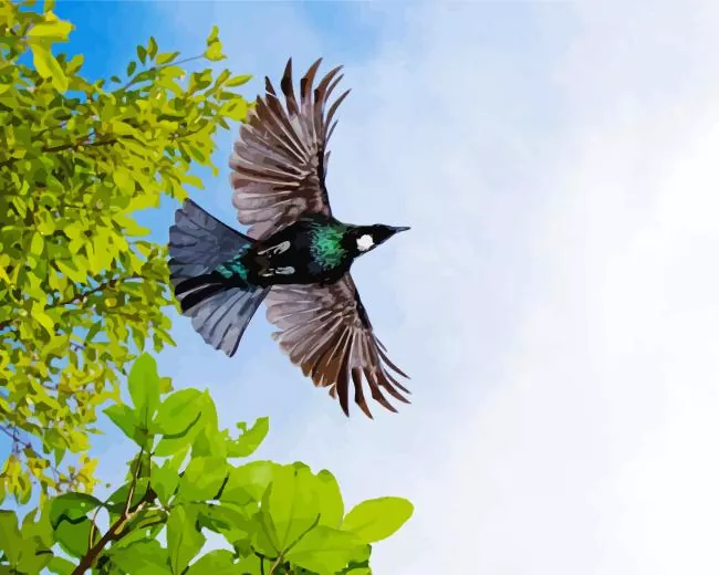 Tui bird flying Diamond Paints Tui Bird Flying Diamond Painting