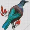 Tui Bird Illustration Diamond Painting