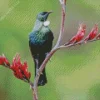 Tui Bird On A Branch Diamond Painting