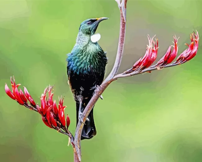 Tui bird on a branch Diamond Paints Tui Bird On A Branch Diamond Painting